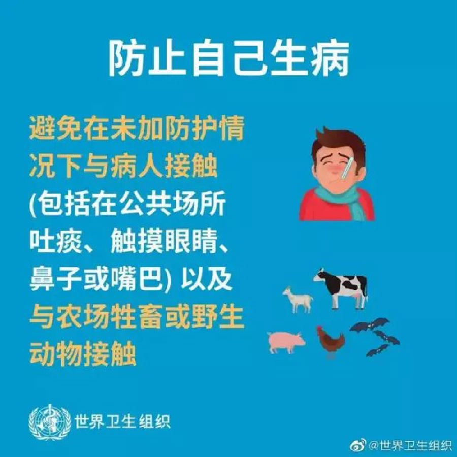 图片9.png